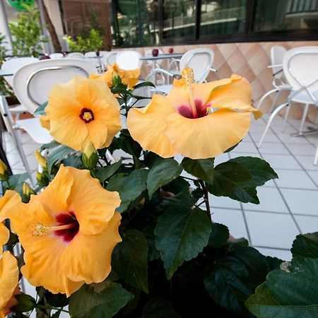 Hotel Scarlet Ρίμινι Εξωτερικό φωτογραφία